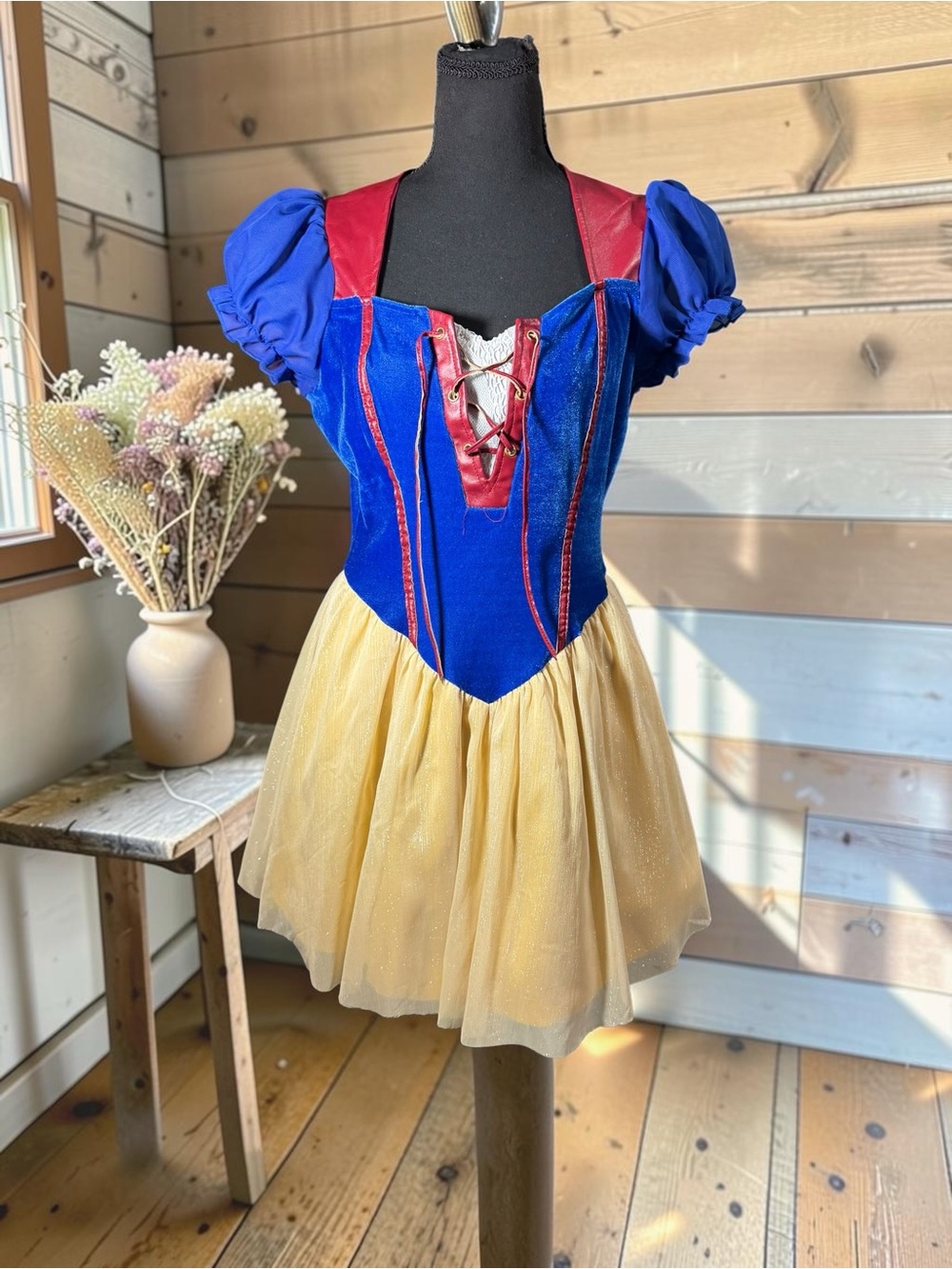 Disney Blue, Red & Yellow  Snow White Costume Dress